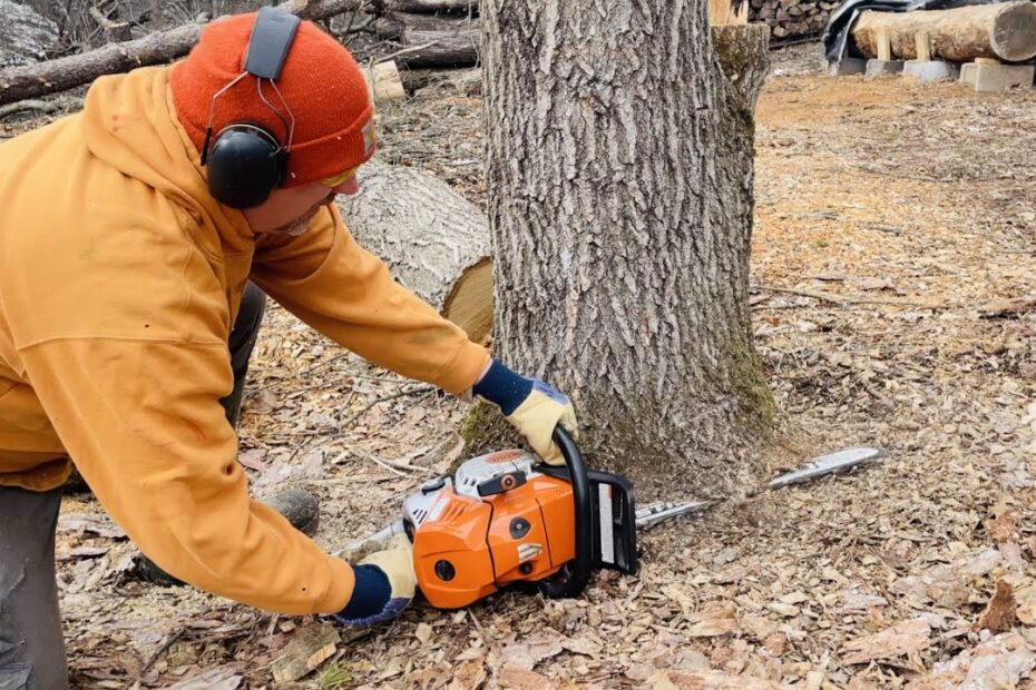 How to Grind a Tree Stump with a Chainsaw