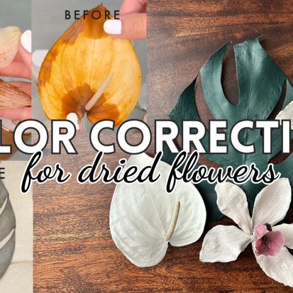 How to Restore Color to Dried Flowers