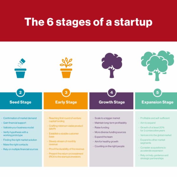 How to Start a Seed Business