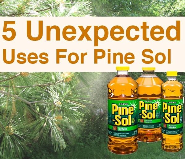 Is Pine Sol Safe for Plants