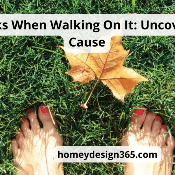 Lawn Sinks When Walking on it