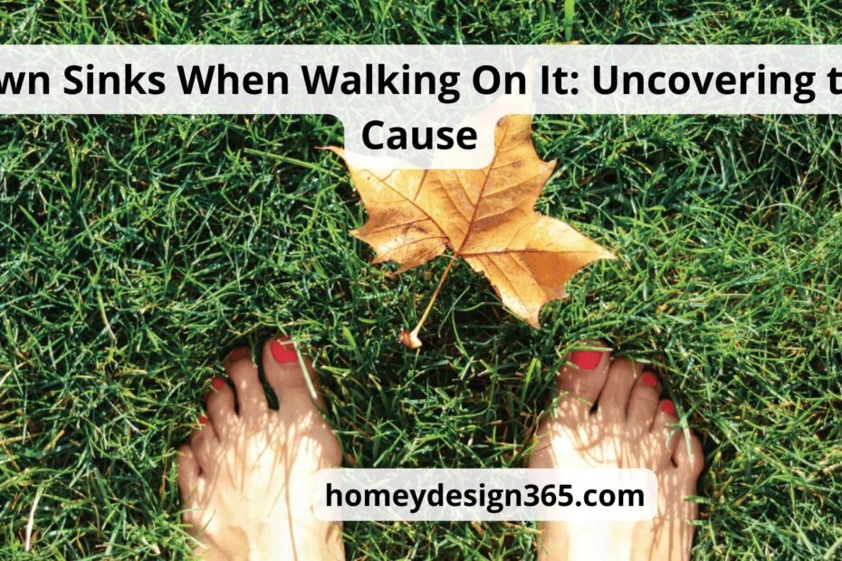 Lawn Sinks When Walking on it