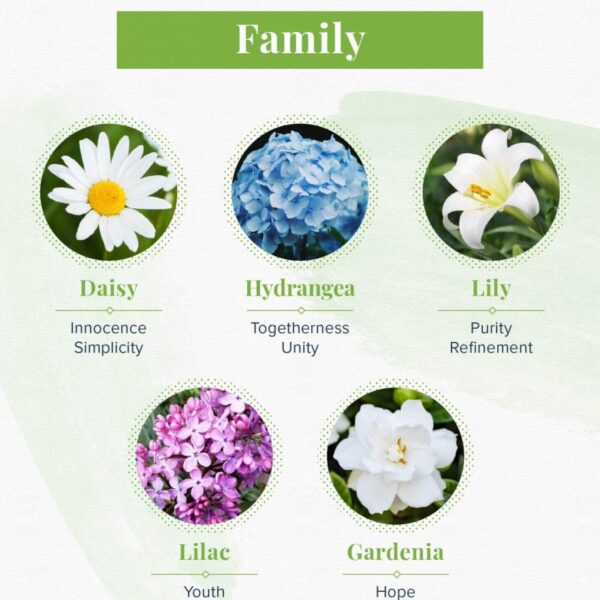What Flower Means Family