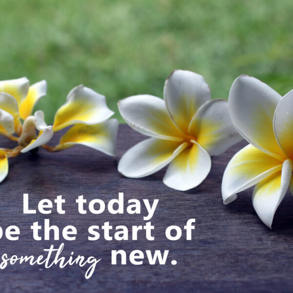 What Flower Means New Beginning