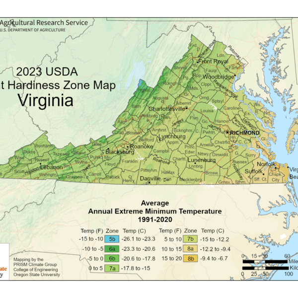 What Plant Zone is Virginia Beach