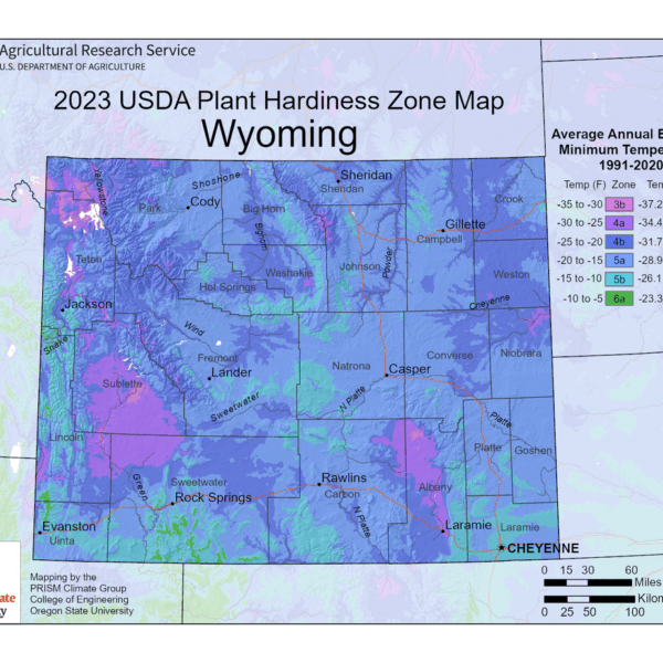 What Plant Zone is Wyoming
