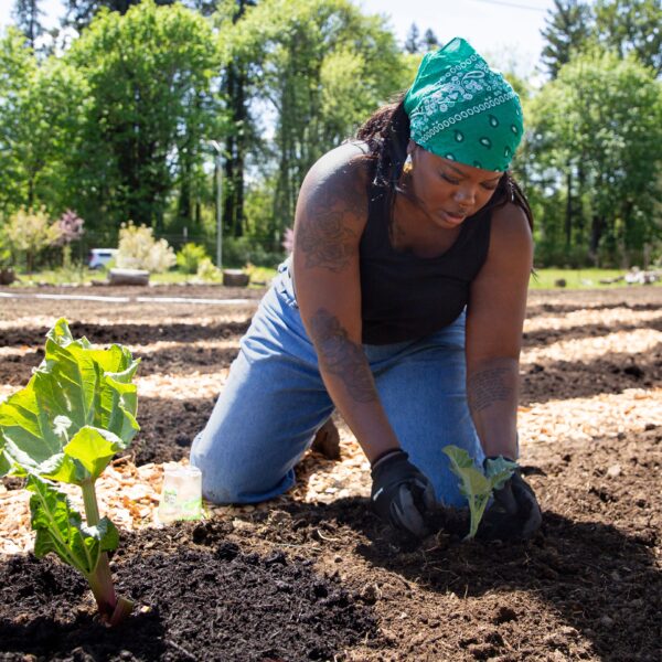 What to Plant in April in Oregon