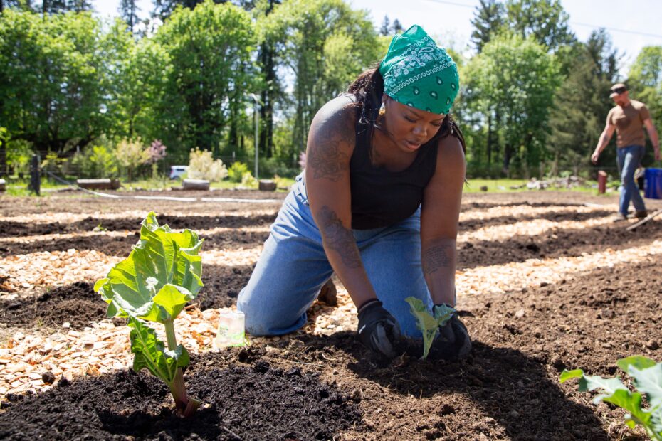 What to Plant in April in Oregon