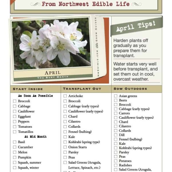 What to Plant in April in Seattle