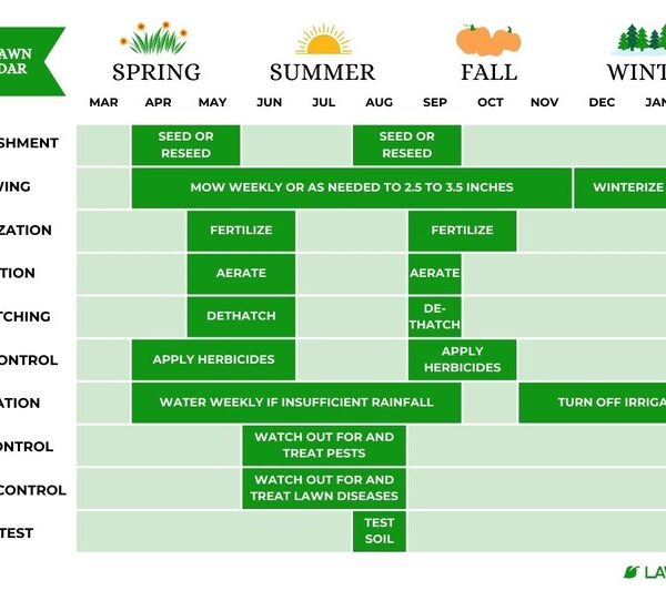 When to Fertilize Lawn Wisconsin