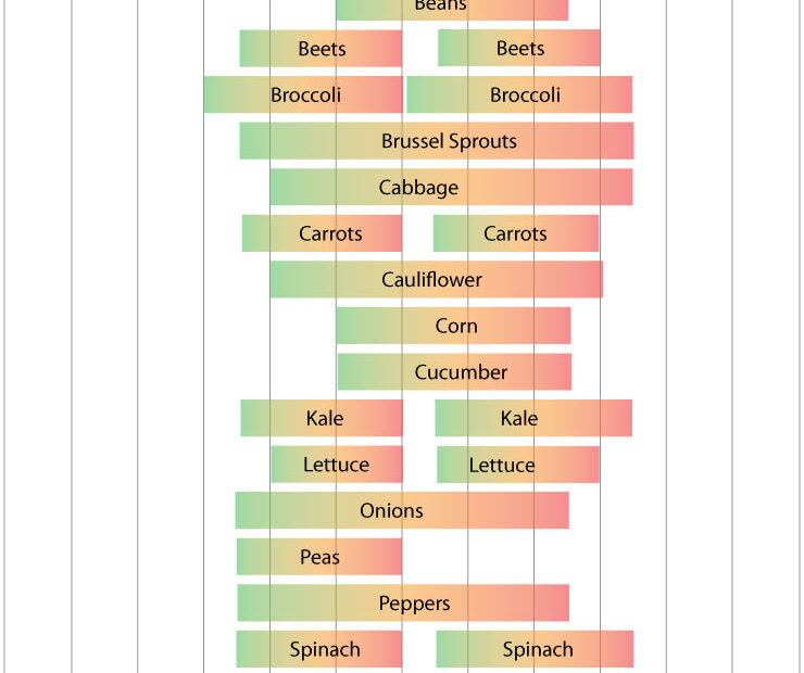 When to Plant Lettuce in Utah