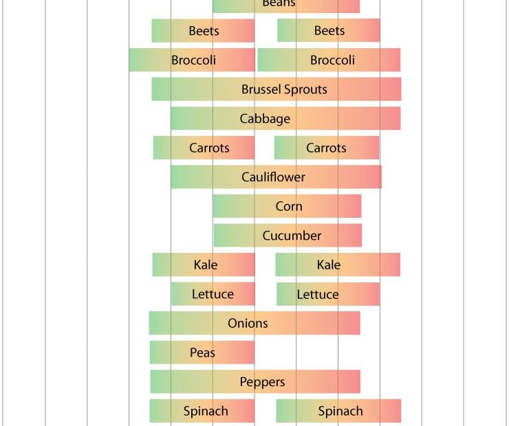 When to Plant Peas in Michigan