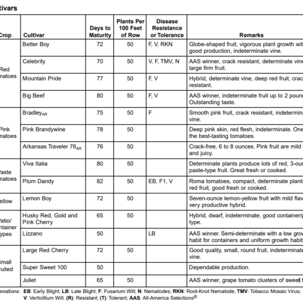 When to Plant Tomatoes in Arkansas