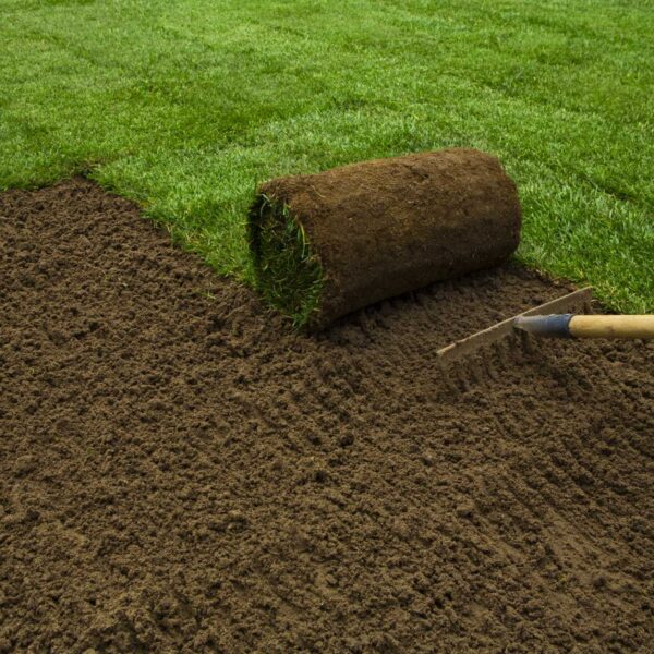 Can You Cover Grass Seed with Grass Clippings