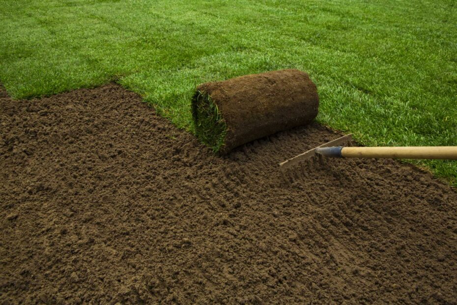 Can You Cover Grass Seed with Grass Clippings