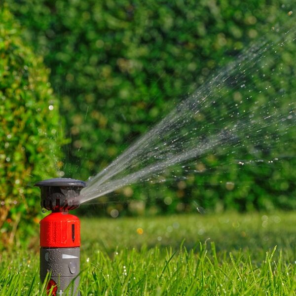 Can You Mow Over Sprinkler Heads