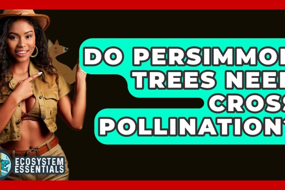 Do Persimmon Trees Need a Pollinator