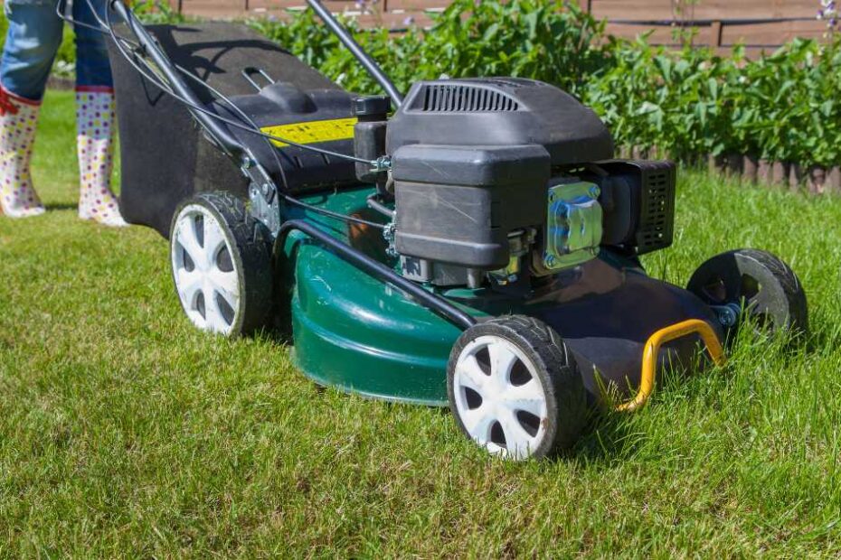 Is it Safe to Mow the Lawn While Pregnant