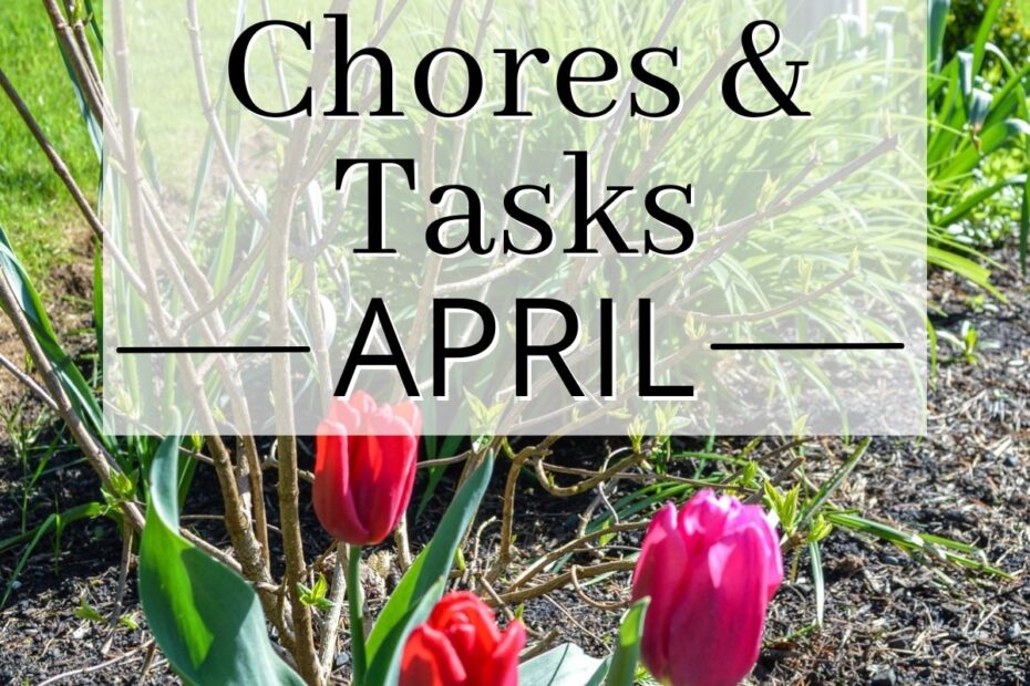 What to Plant in April in Oregon