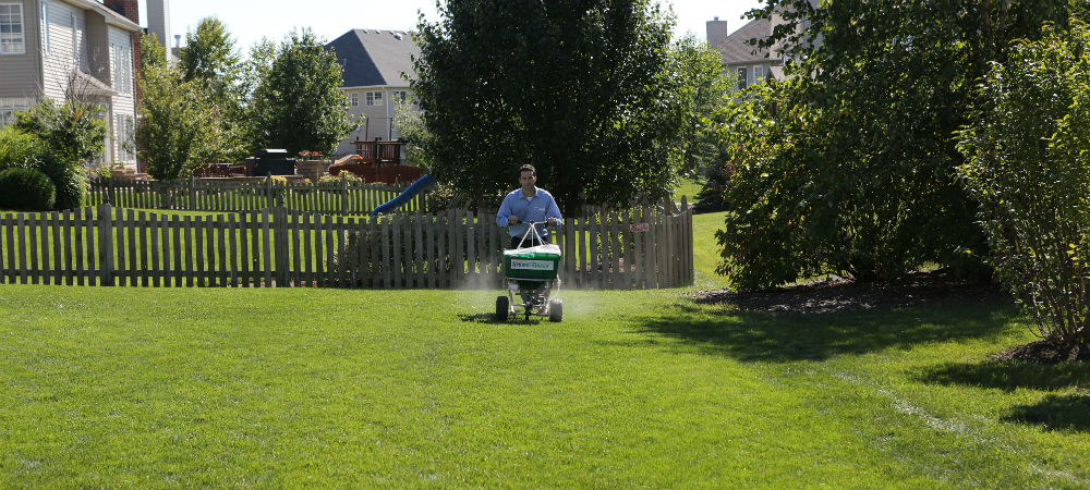 When to Put Weed and Feed on Lawn in Michigan