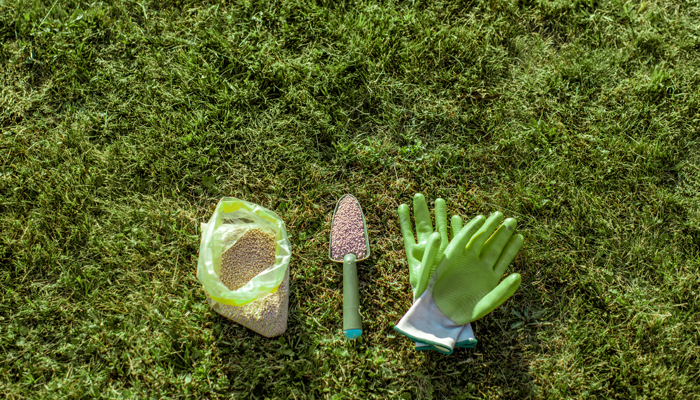 When to Put Weed and Feed on Lawn in Michigan