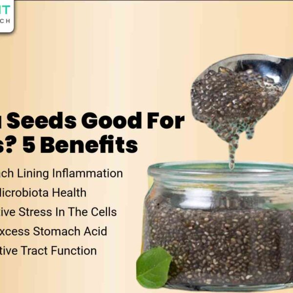 Why Do Chia Seeds Move