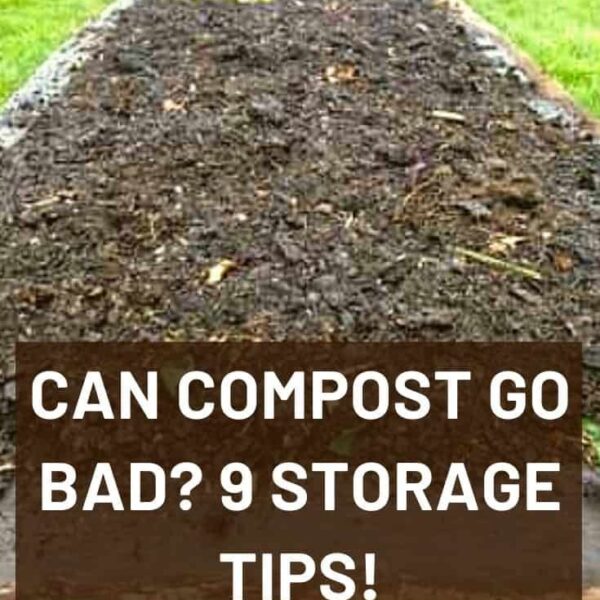 Can Compost Go Bad