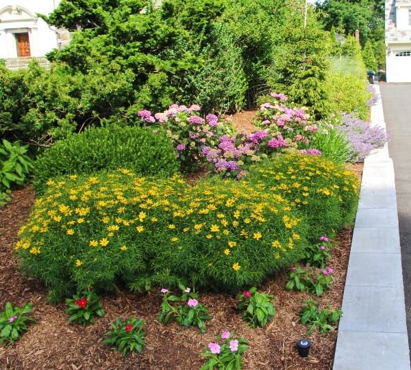 Can I Mulch Over Grass