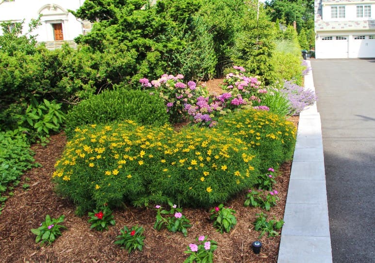 Can I Mulch Over Grass