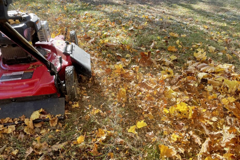 Can You Mulch Wet Leaves