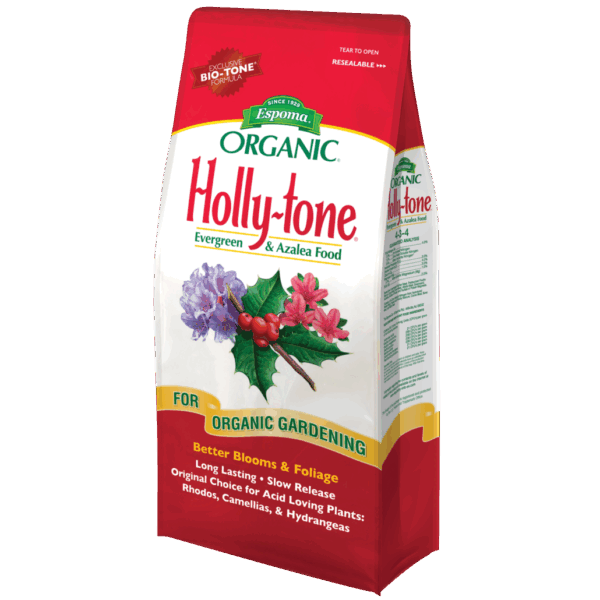 Can You Use Holly Tone on Roses