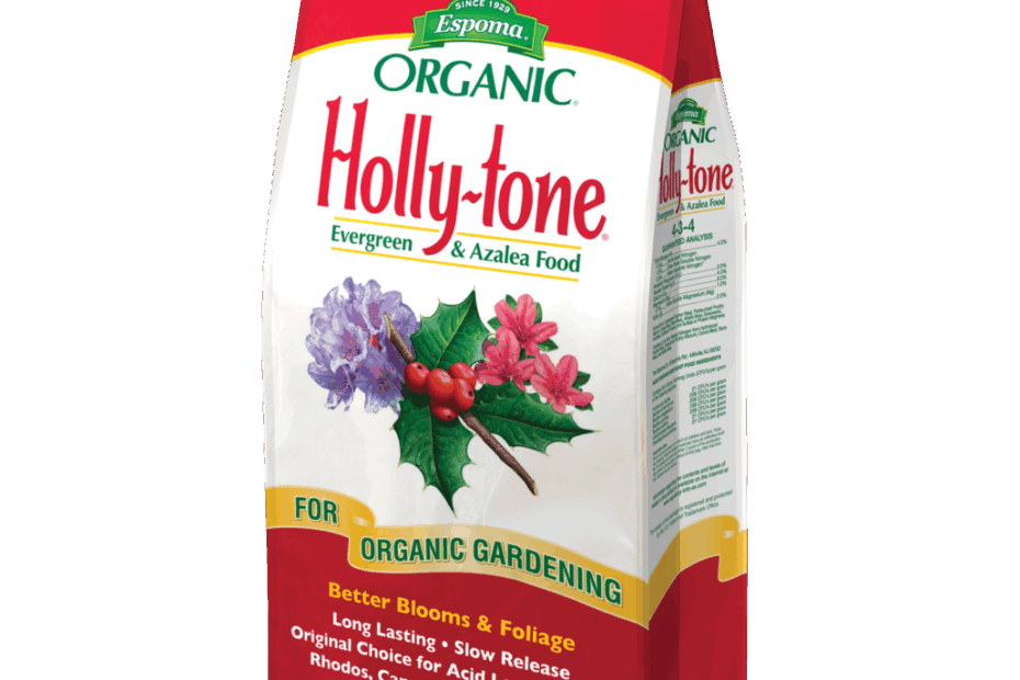 Can You Use Holly Tone on Roses