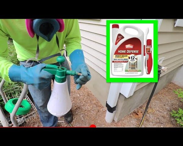 Can You Use Ortho Home Defense on Plants