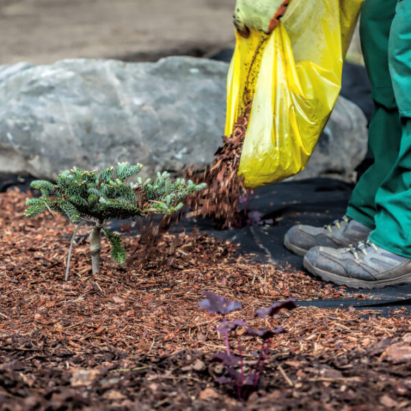 Does Mulch Go Bad