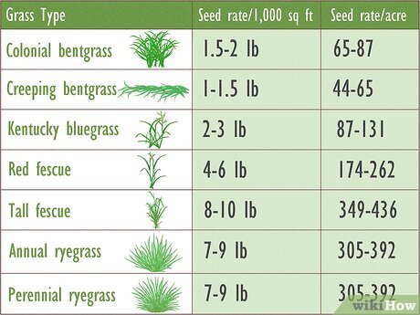 How Much Bermuda Grass Seed per Acre