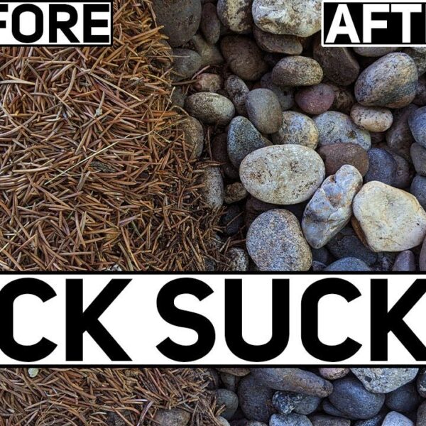 How to Clean Lava Rock Landscaping