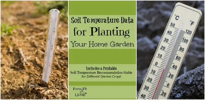 How to Determine Soil Temperature Without Thermometer