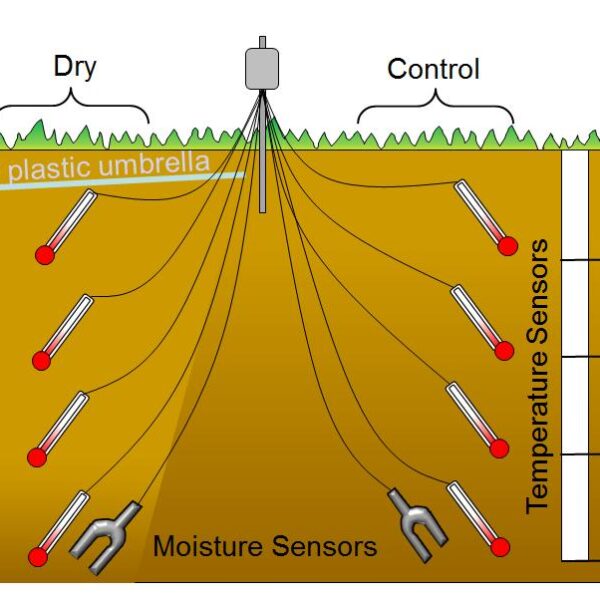 How to Determine Soil Temperature Without Thermometer