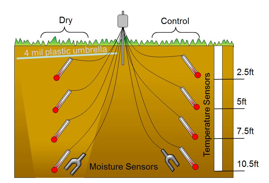 How to Determine Soil Temperature Without Thermometer