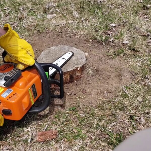 How to Grind a Tree Stump with a Chainsaw