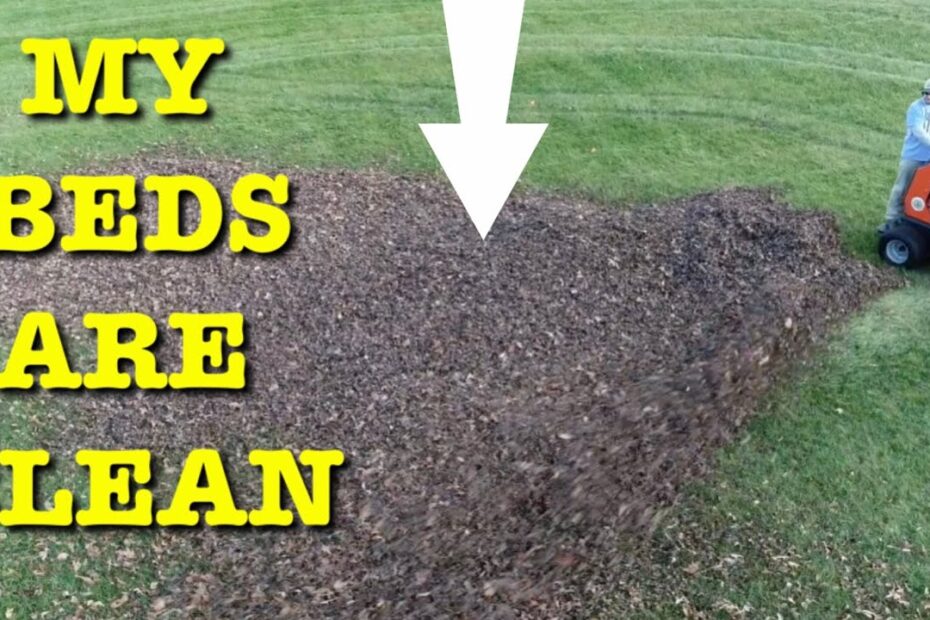 How to Remove Pine Needles from Lawn
