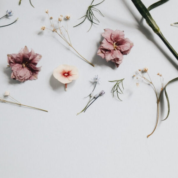 How to Restore Color to Dried Flowers