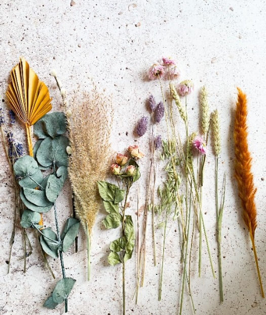 How to Restore Color to Dried Flowers