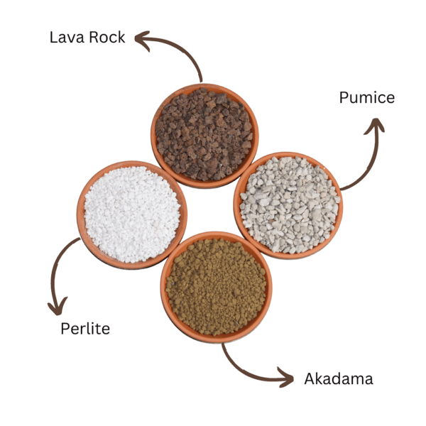 Is Cactus Soil Acidic