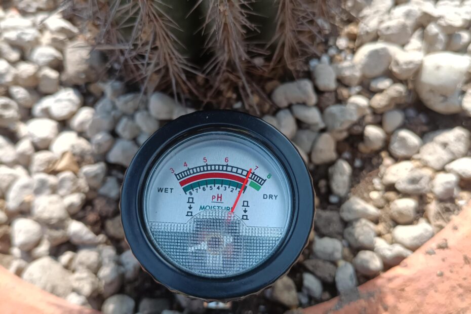 Is Cactus Soil Acidic