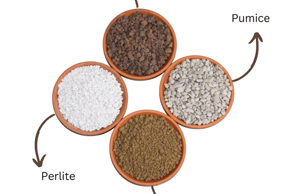 Is Cactus Soil Acidic