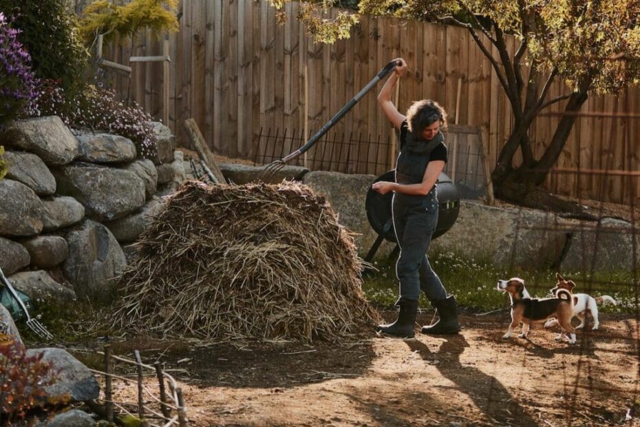 Is Dog Poop Good Fertilizer for Trees