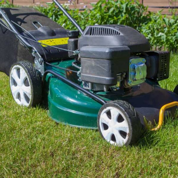 Is it Safe to Mow the Lawn While Pregnant
