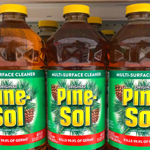 Is Pine Sol Safe for Plants