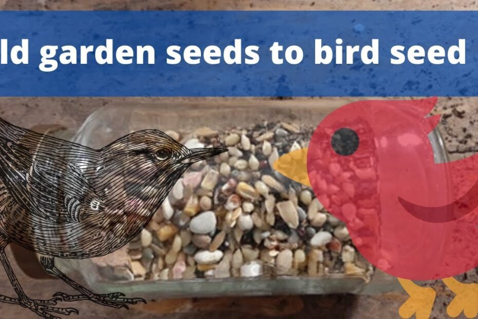 What to Do with Old Bird Seed